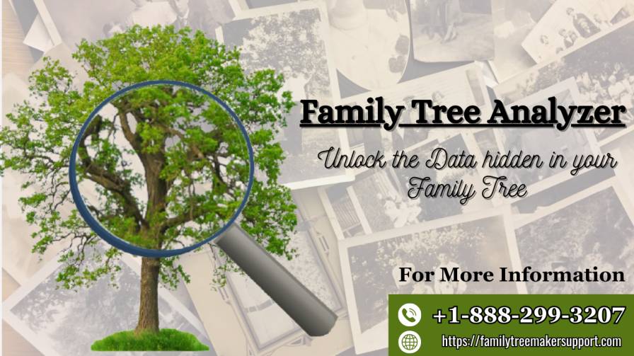 Explore Your Family Tree With Family Tree Analyzer